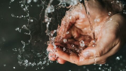 Como Economizar Água em Casa: Métodos Práticos e Redução na Conta