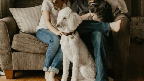 Pets em Apartamento Alugado: Regras do Condomínio e Direitos do Inquilino
