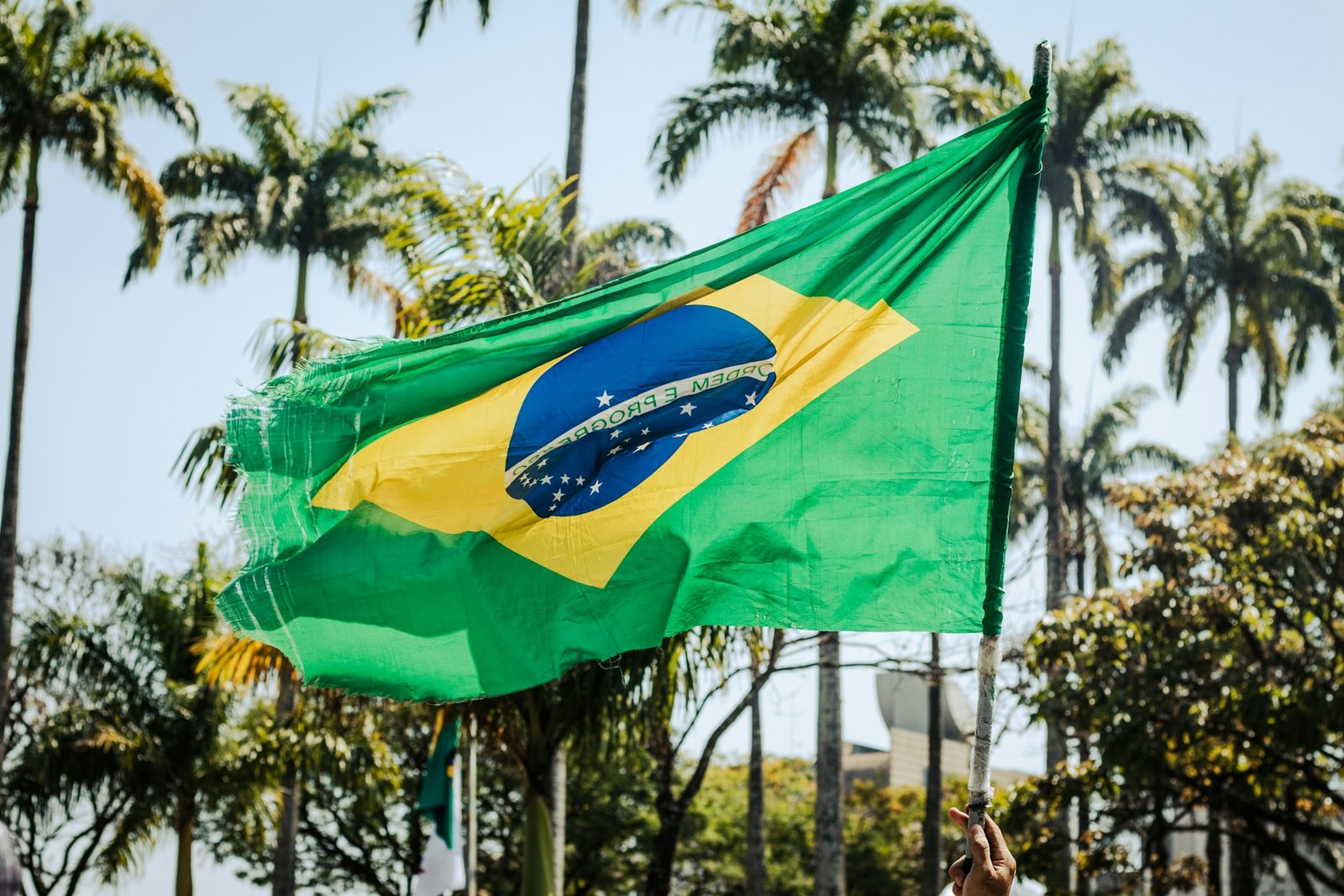 Matheus Câmara da Silva